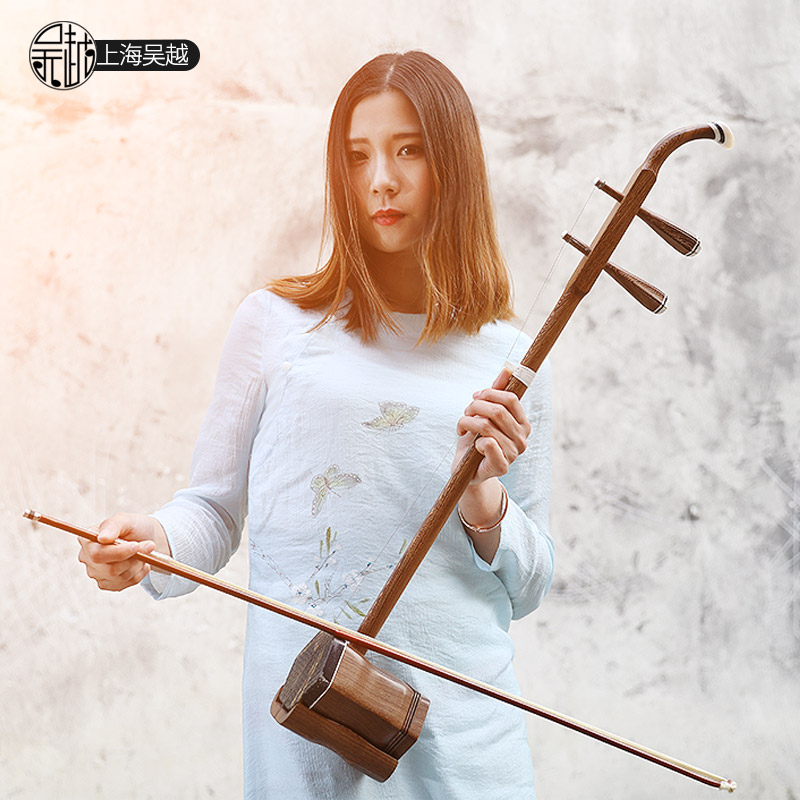 Strumento a corda popolare cin - Musical Instrument Book recensione e prezzo