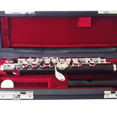 Piccolo in ebano con strumento - Musical Instrument Piccolo recensione e prezzo