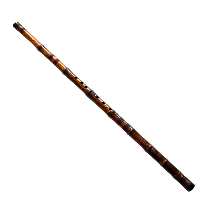 Flauto Verticale in Bambù Viol - Musical Instrument Xiao recensione e prezzo
