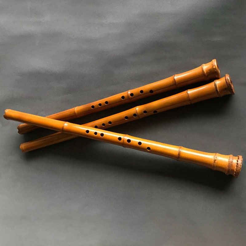 Bambù a 8 fori Xiao Performanc - Musical Instrument Xiao recensione e prezzo